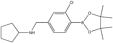 N-(3-氯-4-(4,4,5,5-四甲基-1,3,2-二氧硼杂环戊烷-2-基)苯基)环戊胺 结构式