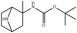 (2-甲基-7-氮杂双环[2.2.1]庚烷-2-基)氨基甲酸叔丁酯 结构式