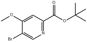 tert-butyl 5-bromo-4-methoxypicolinate 结构式