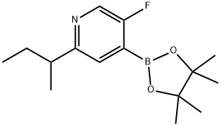 2-(sec-butyl)-5-fluoro-4-(4,4,5,5-tetramethyl-1,3,2-dioxaborolan-2-yl)pyridine 结构式