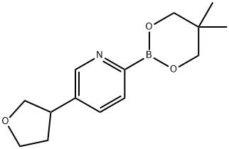 5-(Oxolan-3-yl)pyridine-2-boronic acid neopentylglycol ester 结构式