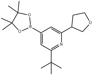 2-(tert-butyl)-6-(tetrahydrofuran-3-yl)-4-(4,4,5,5-tetramethyl-1,3,2-dioxaborolan-2-yl)pyridine 结构式