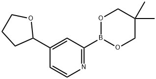 4-(Oxolan-2-yl)pyridine-2-boronic acid neopentylglycol ester 结构式