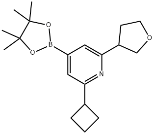 2-(Cyclobutyl)-6-(oxolan-3-yl)pyridine-4-boronic acid pinacol ester 结构式