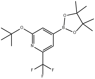 2-Trifluoromethyl-6-(tert-butoxy)pyridine-4-boronic acid pinacol ester 结构式