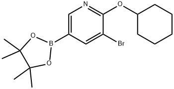 5-Bromo-6-(cyclohexyloxy)pyridine-3-boronic acid pinacol ester 结构式