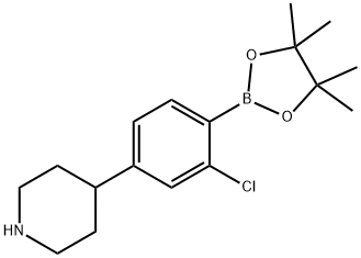 4-(3-chloro-4-(4,4,5,5-tetramethyl-1,3,2-dioxaborolan-2-yl)phenyl)piperidine 结构式