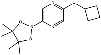 2-cyclobutoxy-5-(4,4,5,5-tetramethyl-1,3,2-dioxaborolan-2-yl)pyrazine 结构式