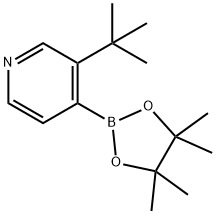 3-(tert-Butyl)pyridine-4-boronic acid pinacol ester 结构式