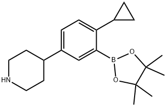 4-(4-cyclopropyl-3-(4,4,5,5-tetramethyl-1,3,2-dioxaborolan-2-yl)phenyl)piperidine 结构式