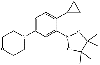 4-(4-cyclopropyl-3-(4,4,5,5-tetramethyl-1,3,2-dioxaborolan-2-yl)phenyl)morpholine 结构式