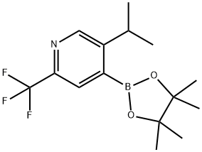 5-(iso-Propyl)-2-trifluoromethylpyridine-4-boronic acid pinacol ester 结构式