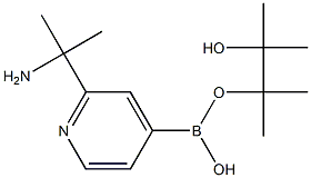 2-(2-Aminopropan-2-yl)pyridine-4-boronic acid pinacol ester 结构式