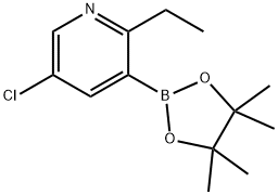 2-Ethyl-5-chloropyridine-3-boronic acid pinacol ester 结构式