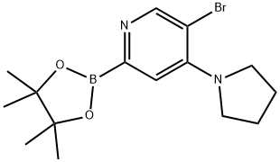 5-Bromo-4-(pyrrolidino)pyridine-2-boronic acid pinacol ester 结构式