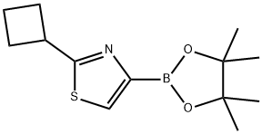 2-cyclobutyl-4-(4,4,5,5-tetramethyl-1,3,2-dioxaborolan-2-yl)thiazole 结构式