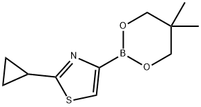 2-Cyclopropylthiazole-4-boronic acid neopentylglycol ester 结构式