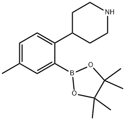 4-(4-methyl-2-(4,4,5,5-tetramethyl-1,3,2-dioxaborolan-2-yl)phenyl)piperidine 结构式