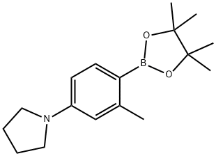 2-Methyl-4-(pyrrolidino)phenylboronic acid pinacol ester 结构式