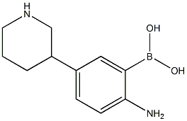 2-Amino-5-(piperidin-3-yl)phenylboronic acid 结构式
