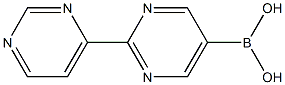 [2,4'-bipyrimidin]-5-ylboronic acid 结构式