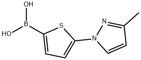5-(3-Methyl-1H-pyrazol-1-yl)thiophene-2-boronic acid 结构式