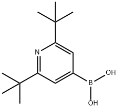 2,6-BIS(TERT-BUTYL)PYRIDINE-4-BORONIC ACID 结构式