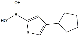 4-(Cyclopentyl)thiophene-2-boronic acid 结构式