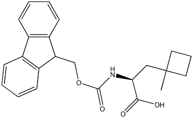 FMOC-L-2-氨基-3-(1-甲基环丁基)丙酸 结构式