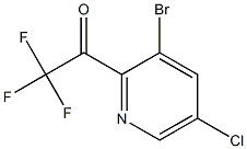 1-(3-溴-5-氯吡啶-2-基)-2,2,2-三氟乙酮 结构式