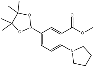 methyl 2-(pyrrolidin-1-yl)-5-(4,4,5,5-tetramethyl-1,3,2-dioxaborolan-2-yl)benzoate 结构式