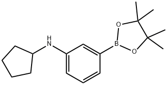 3-环戊氨基苯硼酸频哪醇酯 结构式