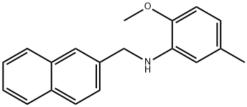 2-methoxy-5-methyl-N-(naphthalen-2-ylmethyl)aniline 结构式