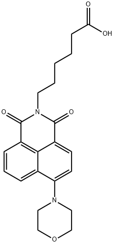 6-(6-(morpholin-4-yl)-1,3-dioxo-1H-benzo[de]isoquinolin-2(3H)-yl)hexanoic acid 结构式