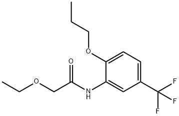 2-ethoxy-N-[2-propoxy-5-(trifluoromethyl)phenyl]acetamide 结构式