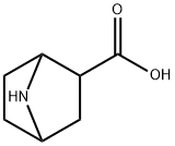 7-azabicyclo[2.2.1]heptane-2-carboxylic acid 结构式