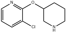 3-氯-2-(哌啶-3-基氧基)吡啶 结构式