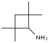 2,2,4,4-tetramethylcyclobutan-1-amine 结构式