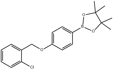 (4-(2-氯苯甲氧基))苯基硼酸频哪醇酯 结构式