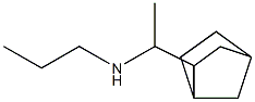 (1-{bicyclo[2.2.1]heptan-2-yl}ethyl)(propyl)amine 结构式