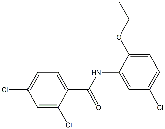 2,4-dichloro-N-(5-chloro-2-ethoxyphenyl)benzamide 结构式