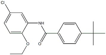 4-(tert-butyl)-N-(5-chloro-2-ethoxyphenyl)benzamide 结构式