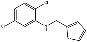 2,5-dichloro-N-(thiophen-2-ylmethyl)aniline 结构式