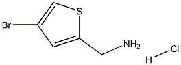 (4-BROMOTHIOPHEN-2-YL)METHANAMINEHCL 结构式