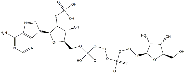 [(2R,3R,4R,5R)-2-(6-aminopurin-9-yl)-5-[[[[(2S,3R,4S,5R)-3,4-dihydroxy-5-(hydroxymethyl)oxolan-2-yl]oxy-hydroxy-phosphoryl]oxy-hydroxy-phosphoryl]oxymethyl]-4-hydroxy-oxolan-3-yl]oxyphosphonic acid 结构式