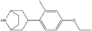 3-(4-ethoxy-2-methylphenyl)-8-azabicyclo[3.2.1]octane 结构式
