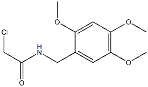 2-CHLORO-N-(2,4,5-TRIMETHOXYBENZYL)ACETAMIDE 结构式