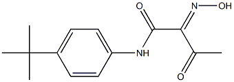 N-(4-TERT-BUTYL-PHENYL)-2-HYDROXYIMINO-3-OXO-BUTYRAMIDE 结构式