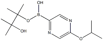 5-ISOPROPOXYPYRAZINE-2-BORONIC ACID PINACOL ESTER 结构式