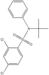 N-(tert-butyl)-2,4-dichloro-N-phenylbenzenesulfonamide 结构式